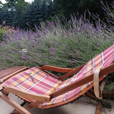 Lesna Διαμέρισμα